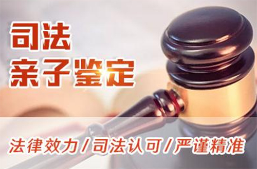 广元司法亲子鉴定怎么做,广元司法DNA亲子鉴定费用需要多少钱